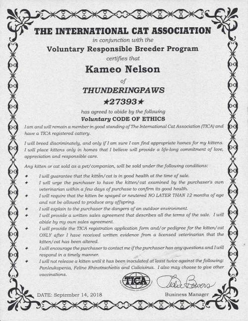 Voluntary Code Of Ethics 